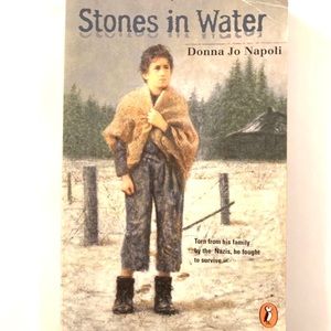 Stones in Water Book